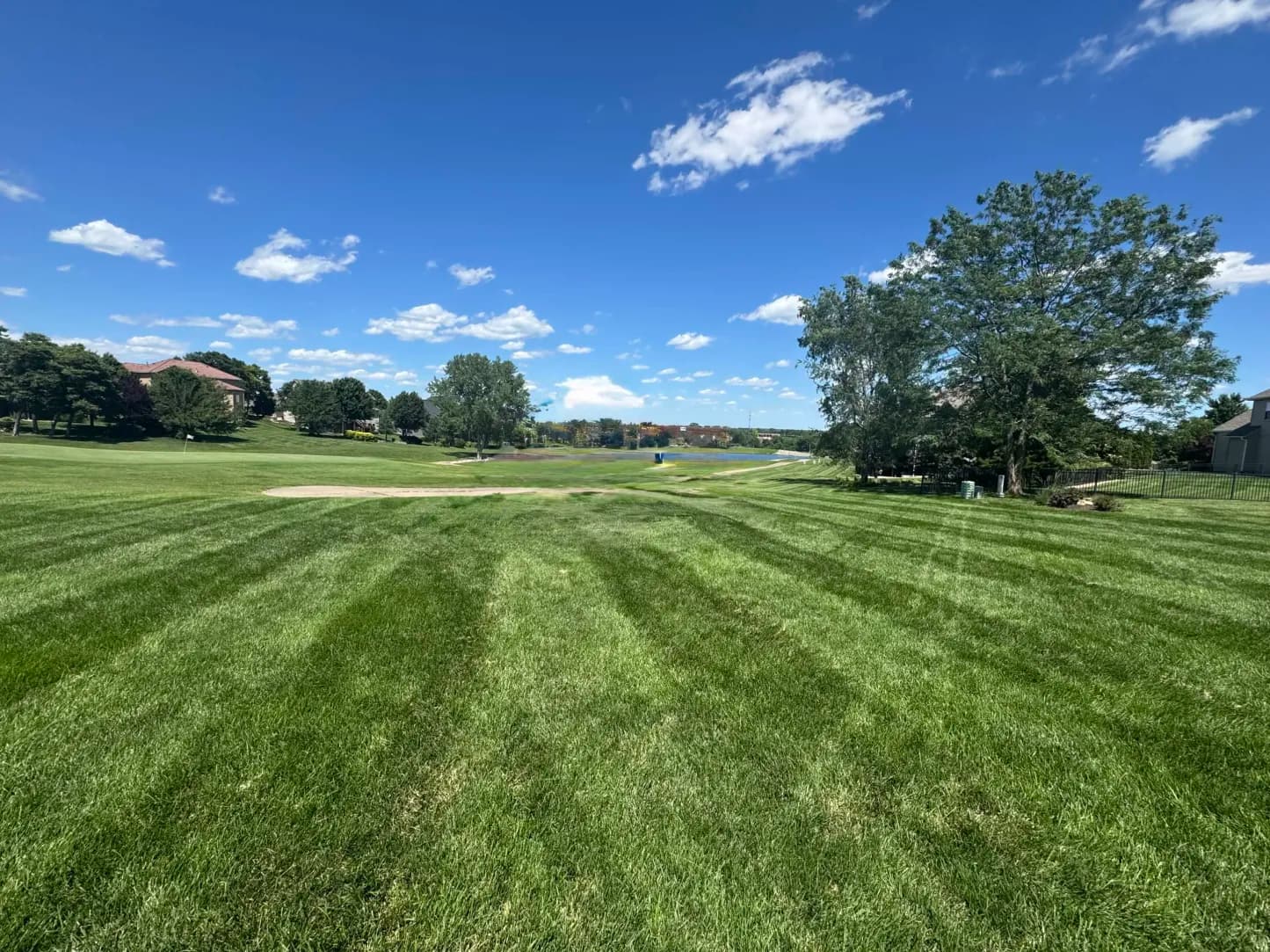 Existing Grabill backyard view toward the golf course before the outdoor living concept